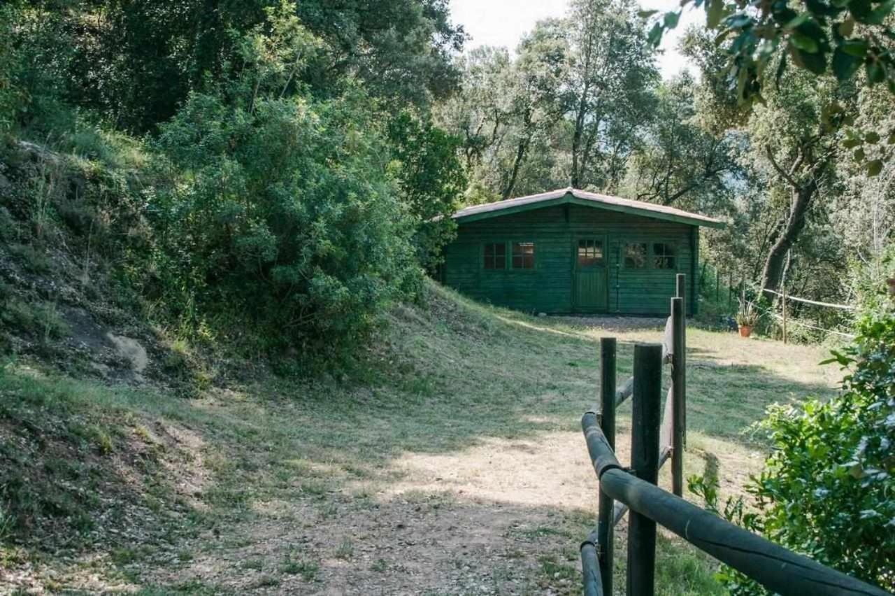 Masia Can Jou Sant Jaume de Llierca Bagian luar foto